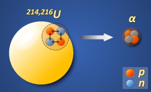 铀-214,铀-216中质子-中子相互作用导致α粒子形成几率增强示意图 张